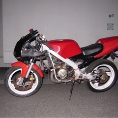 【値段交渉⭕️】aprilia rs50