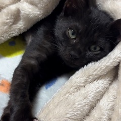 抱っこ大好きです