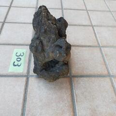 溶岩石(303)盆栽等に最適の画像