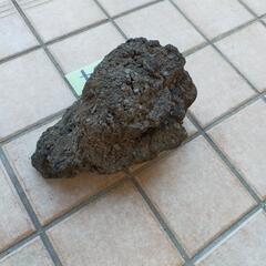 溶岩石(304)盆栽等に最適の画像