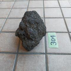 溶岩石(304)盆栽等に最適の画像