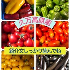 どんぐりトマトのみとなりました🍅久万高原産の野菜🍆