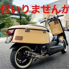 🔥💰完売御礼！！！！ありがとうございました！！🔥