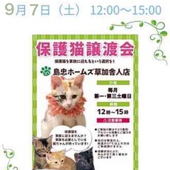 9/7（土）島忠ホームズ草加舎人店保護猫譲渡会