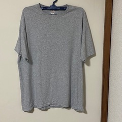 【USA輸入】フルーツオブザルーム ビーチ 古着 Tシャツ グレ...