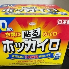 ホッカイロ 貼る レギュラー(30コ入)