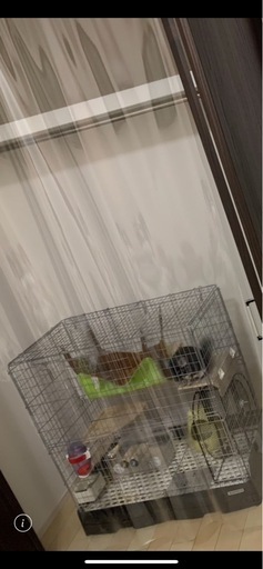 チンチラゲージセット