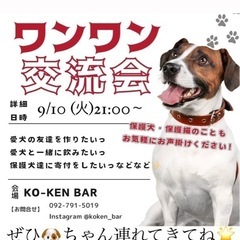 わんわん交流会