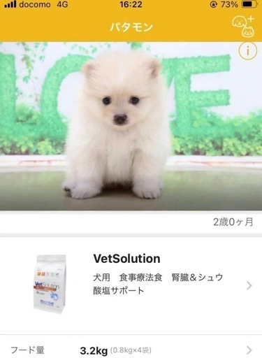 【新品·値下がり可能·お得】ELMO(犬アダルト)