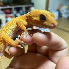 生き物好きな方