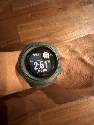 ガーミン GARMIN INSTINCT
