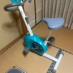 エアロバイク　アルインコ製　