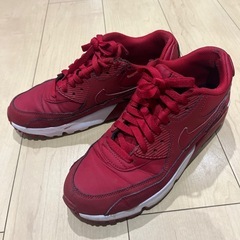 AirMAX 90 赤 25cmの画像