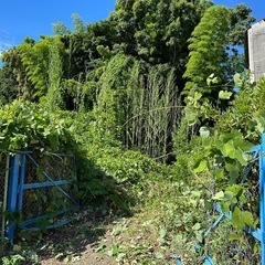 草刈りなど　　日給¥10000〜 