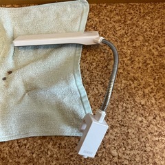水槽の画像