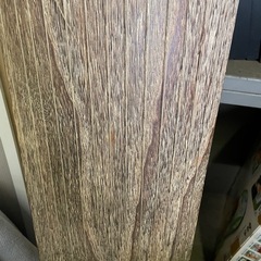 琴 伝統芸能 日本の奏 南区藤田 楽器 三味線の画像