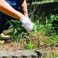 草むしりや掃除など手伝います。