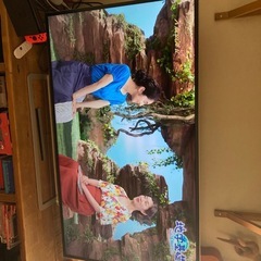 【商談中】テレビTOSHIBA REGZA50型の画像