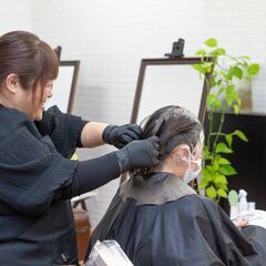 　日曜定休!　「白髪染め専門店　カラーのちから　日進米野木駅前店」カラー美容師(カット・ブロー・セットなし)の画像