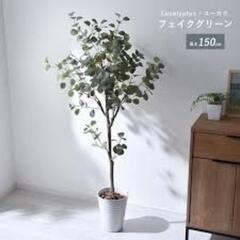 フェイクグリーンをお譲りして頂ける方がおられましたら処分する前に...
