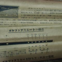 昭和レトロ ポケット フリユート お譲りします。＊石川県＊美川より＊期間限定の画像