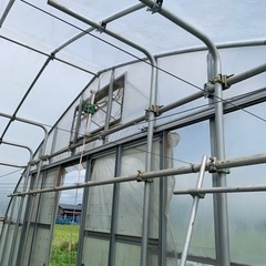 パイプハウスの画像