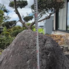 庭石（大）メインの画像