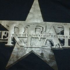 ＲＯＣＫの王様　Ｅ，ＹＡＺＡＷＡ　　２００７　コンサートツアー　nesagesimasu.の画像
