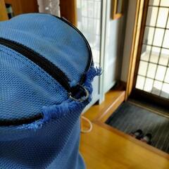 ゴルフバック ドライバー等の画像
