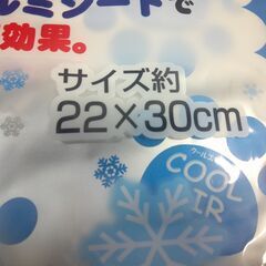 ★未使用 ペット用敷くだけ冷却マット ２枚セット クールエアマット Sサイズ 22×30㎝の画像