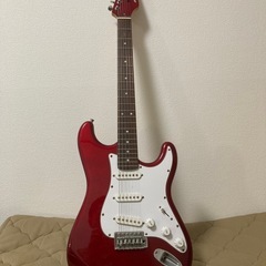 入門用ギターSELDER　サビあり