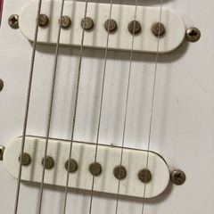 入門用ギターSELDER　サビありの画像