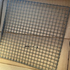 しちりん　の画像