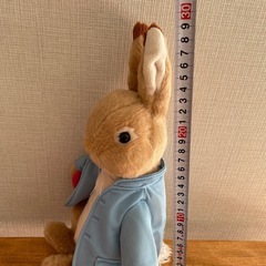 ピーターラビット&お母さん&妹の画像