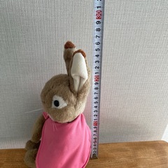 ピーターラビット&お母さん&妹の画像