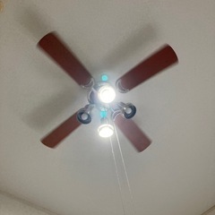 お渡し決まりました。9/27午前〜お昼過ぎ頃引き取りに来ていただ...