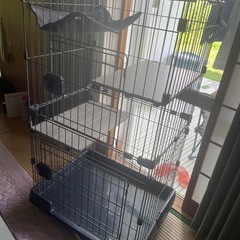 猫ゲージとキャットタワー　