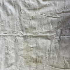 23区 メンズTシャツの画像