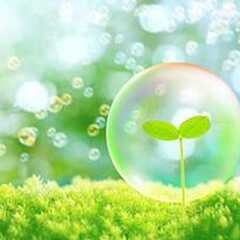 特別企画セミナー【スピリチュアルヒーリング＆メディカルカラーヒーリング】２０％OFF!の画像