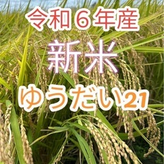 令和6年産　新米30キロ　ゆうだい21  　残り６袋　早い者勝ち