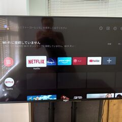 ソニー BRAVIA　49型テレビ＆テレビスタンド