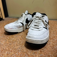 NIKE ナイキスニーカー 28cm