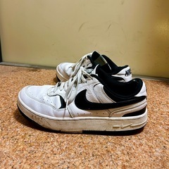 NIKE ナイキスニーカー 28cmの画像