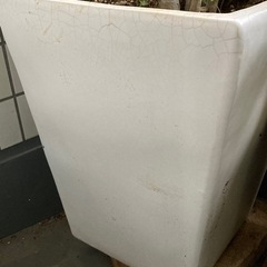 大きな鉢　　　中古　シマトネリコ有無自由
