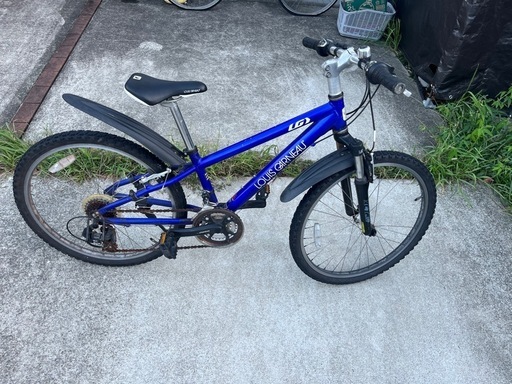 ルイガノ子供自転車