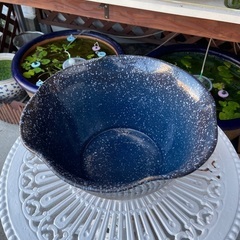 🐸🐝①陶器 睡蓮鉢+メダカ+各種水草セットの画像