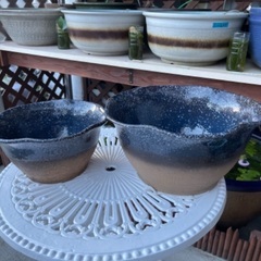 🐸🐝①陶器 睡蓮鉢+メダカ+各種水草セットの画像