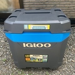 イグルークーラーボックス(決まりました)