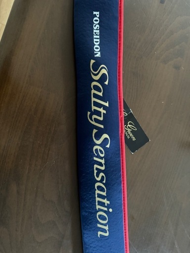 ポセイドンエバーグリーン　ソルティ　センセーション　リミッド　770s     アジングロッド