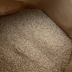 新米30kg令和6年コシヒカリ　　白米or玄米